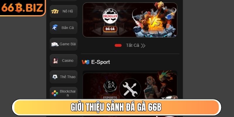 Giới thiệu sảnh Đá Gà 66B
