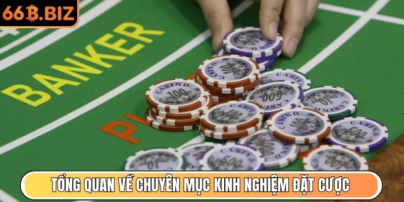 Tổng quan về chuyên mục kinh nghiệm đặt cược