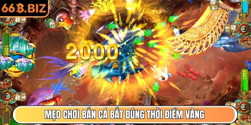 Mẹo chơi bắn cá bắt đúng thời điểm vàng trong game