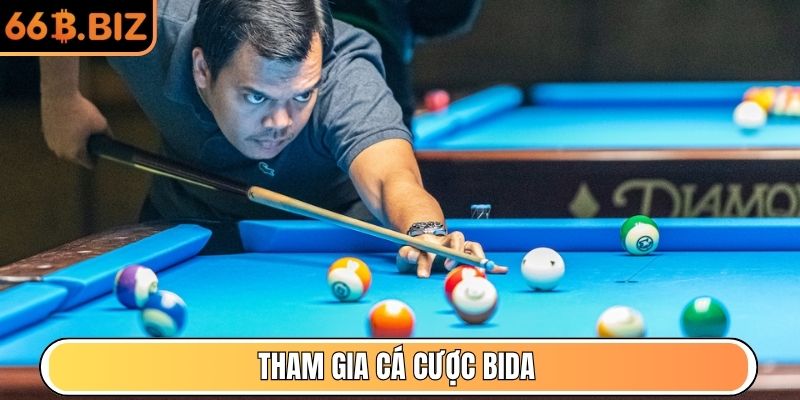 Tham gia cá cược Bida