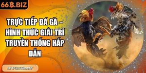Trực tiếp đá gà