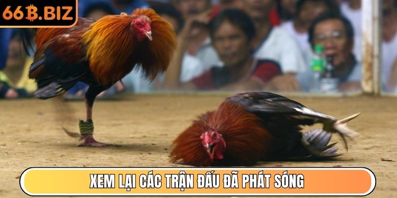 Xem lại các trận đấu đã phát sóng